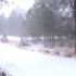 New Mexico Snowfall