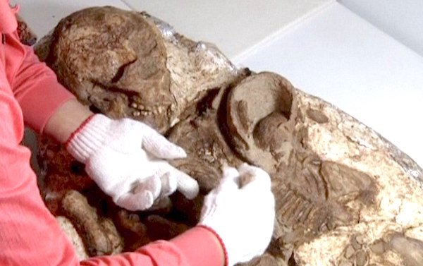 Fossil Cradling A Baby