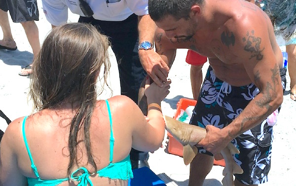 Woman Bitten By Shark As Beachgoers Look In Horror At Lifeguard Stand