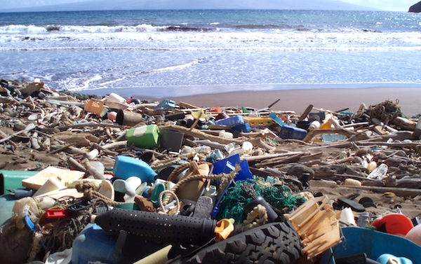 Hawaiian Islands Debris