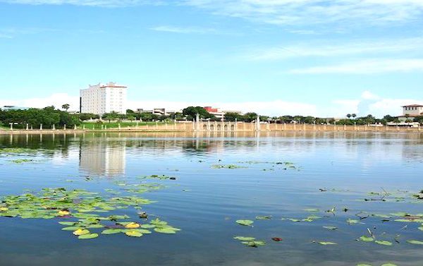 Lakeland alligator found swimming with dead human remains in Lake Hunter