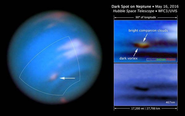 Neptune Surprises Observers With 'Dark Vortex' Seen By Hubble Telescope