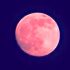 Strawberry Moon