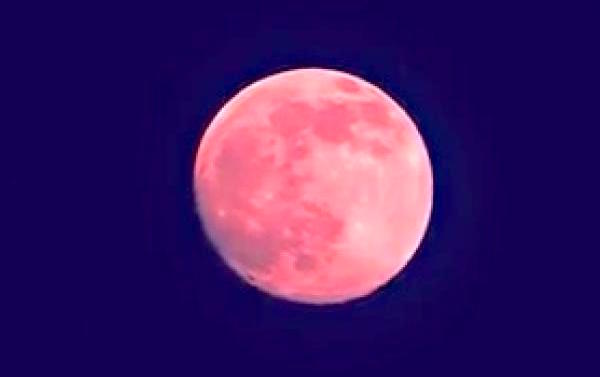 Strawberry Moon