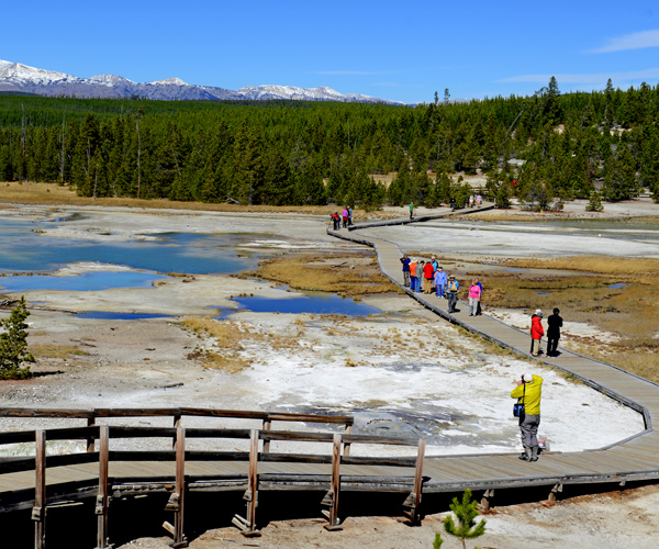 Yellowstone Visitor Thermal Water