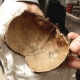 Old Irish Bones Bullet Hole From 57 Immigrants